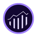 Medición en Adobe Omniture en León